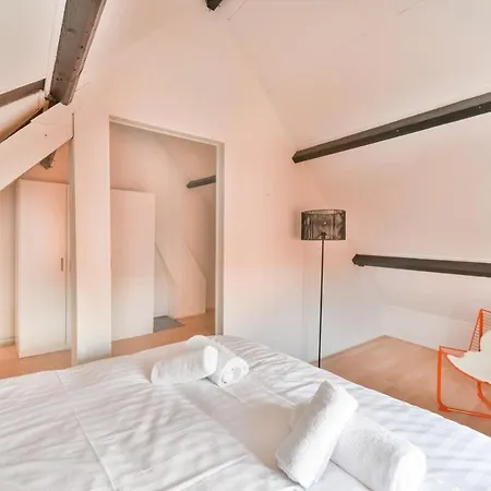 公寓 De Laat Vintage 阿尔克马尔